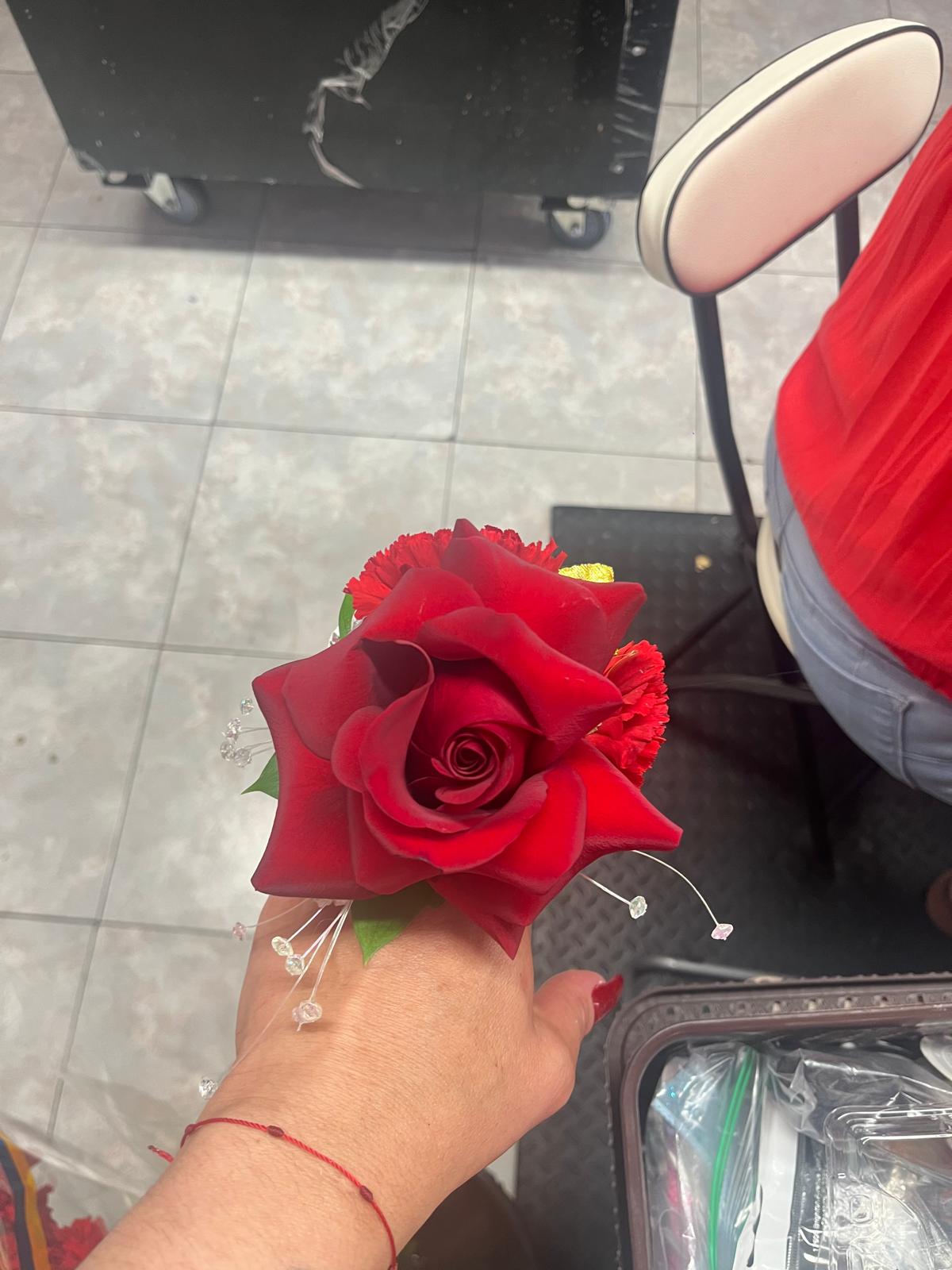 Red Rose Close-Up